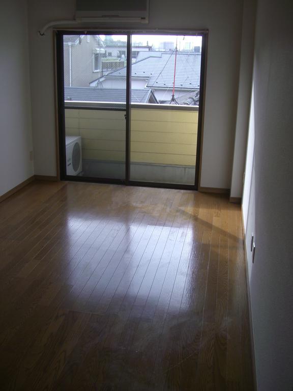 Living and room. Sunny