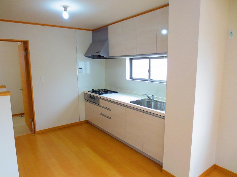 Kitchen. Local (12 May 2013) Shooting