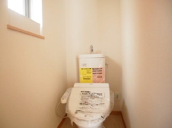 Toilet. Shower toilet