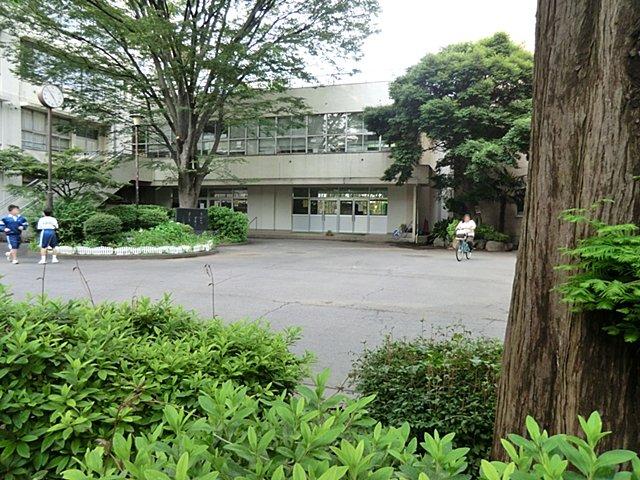 Junior high school. Warabishiritsu 1000m until the first junior high school