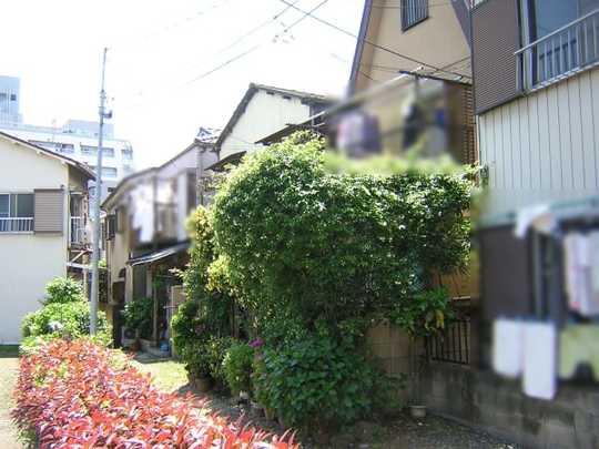 Local land photo. Shooting from the property northeast side