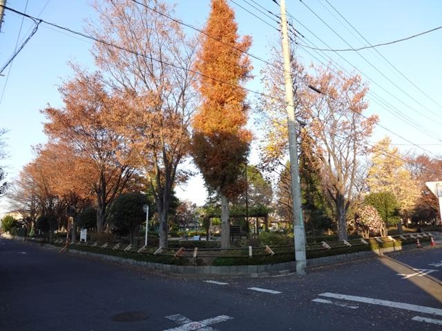 park. 979m until the pine tree park