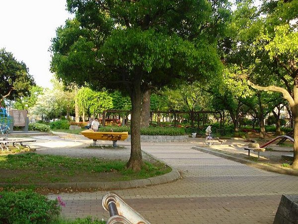 park. Pine trees 300m to the park (park)