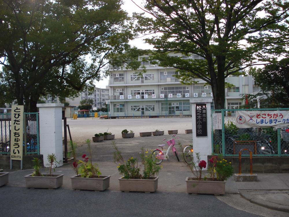 Primary school. Yashio Municipal pine trees up to elementary school 763m