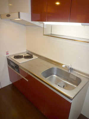 Kitchen. With a two-burner gas system kitchen grill