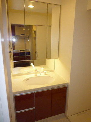 Washroom. Shampoo dresser