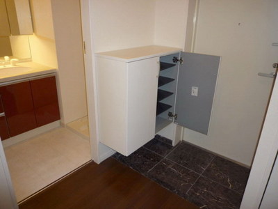 Entrance. Shoe box equipped