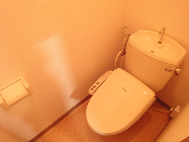 Toilet. Washlet toilet