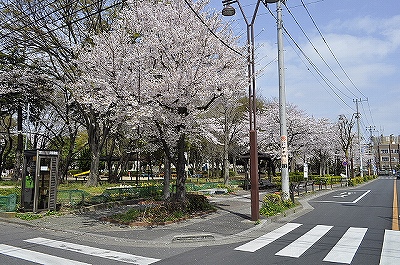 park. 290m to Central Park (park)