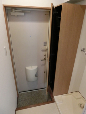 Entrance. Thor type shoes BOX