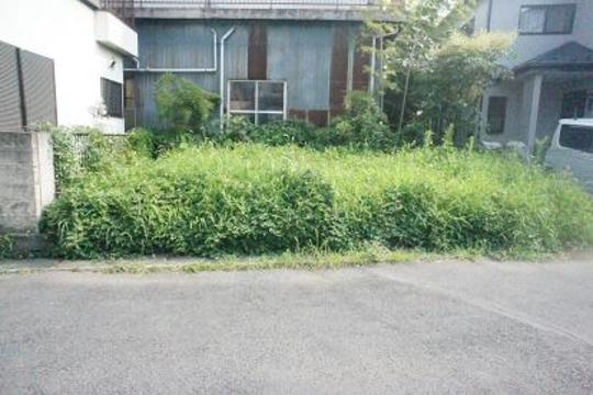 Local land photo. Local Photos