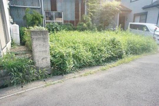 Local land photo. Local Photos