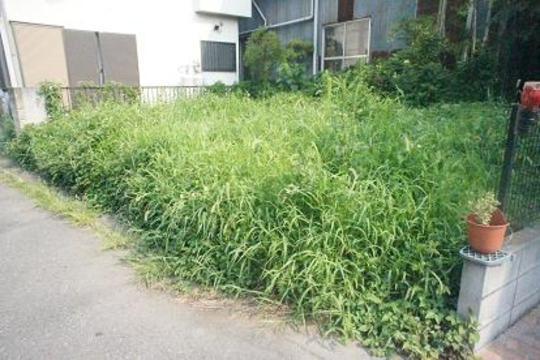 Local land photo. Local Photos