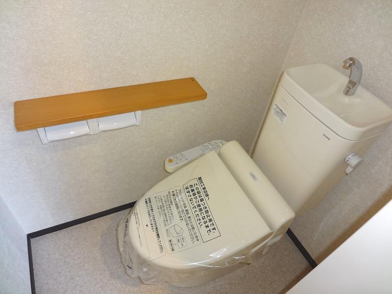 Toilet. Shower toilet