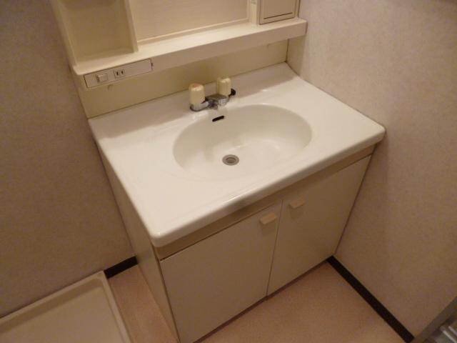 Washroom. Bathroom vanity