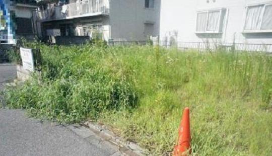 Local land photo. Local Photos