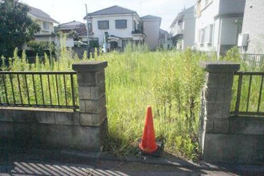 Local land photo. Local Photos