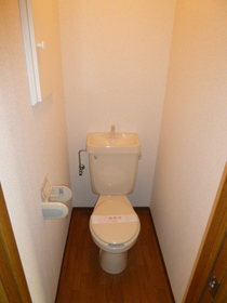 Toilet. Toilet