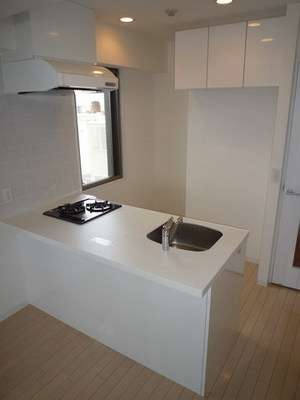 Kitchen. 2-neck system counter Kitchen