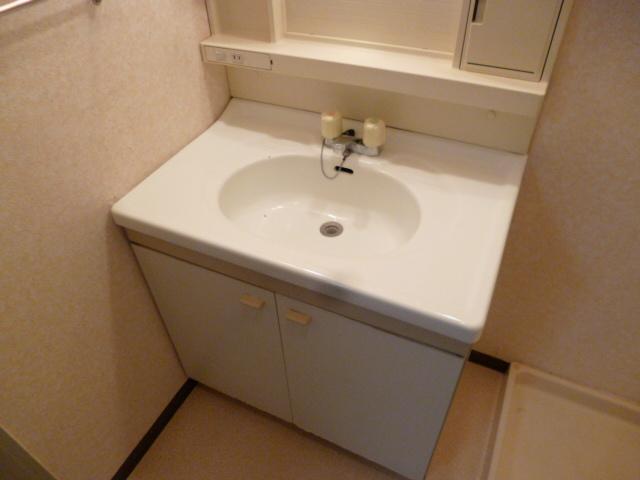 Washroom. Bathroom vanity