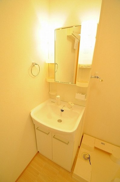 Washroom. Shampoo dresser