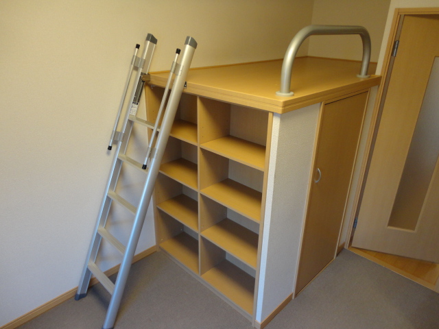 Living and room. Under the bed is a walk-in closet