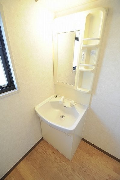 Washroom. Shampoo dresser