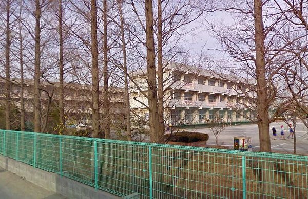 Primary school. Ozone until the elementary school (elementary school) 1200m