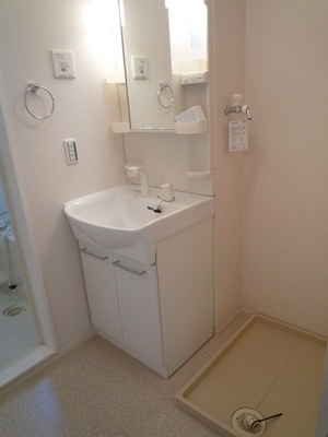 Washroom. Vanity (Shampoo dresser)