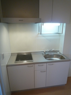 Kitchen. System kitchen (IH + Rajiento)