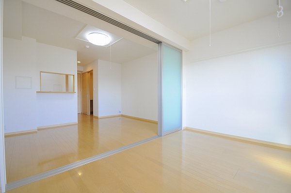 Other room space. Western style room