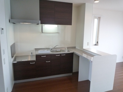 Kitchen. L-shaped kitchen