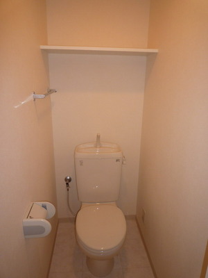 Toilet. With storage shelves