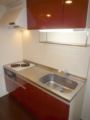 Kitchen. Two-burner gas system kitchen with grill