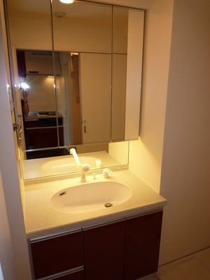 Washroom. Vanity of large mirror