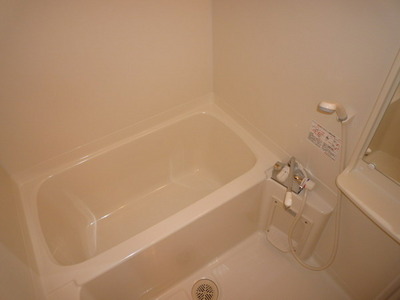 Bath. Beautiful bathroom