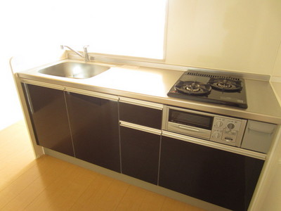 Kitchen. Two-burner stove (equivalent image. It is different from the real thing)