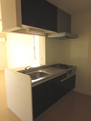 Kitchen. Face-to-face kitchen (equivalent image. It is different from the real thing)