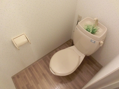 Toilet. It is a simple toilet! 