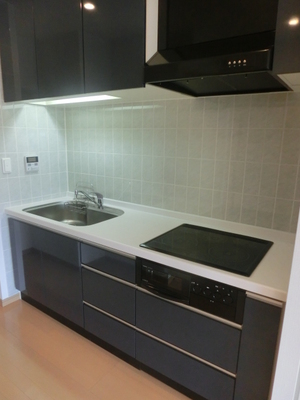 Kitchen. 3-burner stove and grill with a kitchen