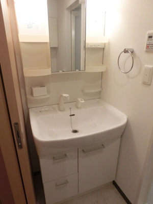 Washroom. Equipped with independent wash basin in the dressing room