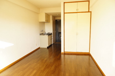 Living and room. South-facing bright Western-style