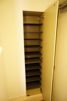 Entrance. There shoebox of large capacity to the front door!