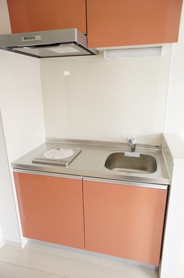 Kitchen. 1-neck IH with cooking heater