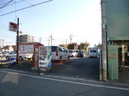 Local land photo. Appearance 1