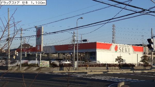 Dorakkusutoa. Drug store Cough 1100m until the (drugstore)