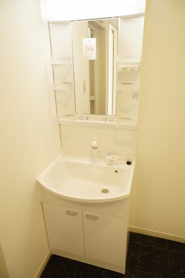 Washroom. Comfortable shampoo dresser also busy morning