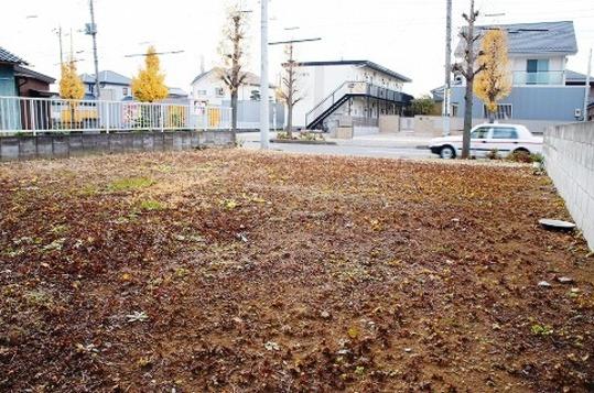 Local land photo. Local Photos