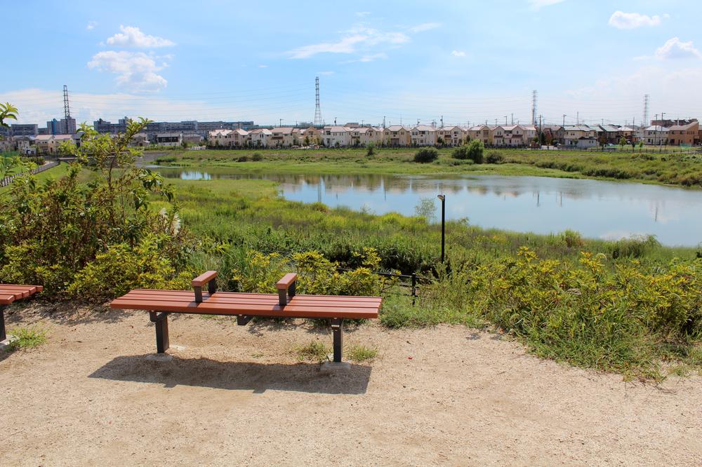 Other local. Central Park water and green harmony