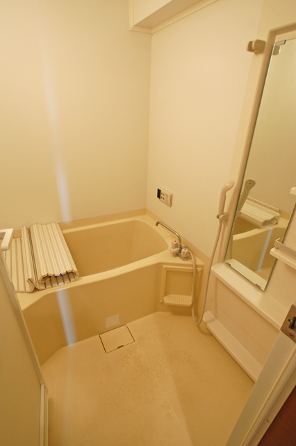 Bath. Loose add fueled bus in the daily bath is going to be a fun fashionable